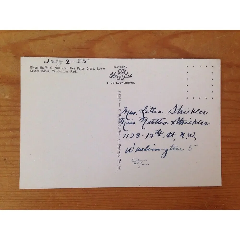 1955 Vintage Haynes Kodachrome Bison Buffalo Nez Perce Creek Yellowstone Color